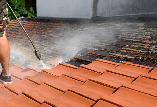 Best House Pressure Washing  in Dunthpe, OR